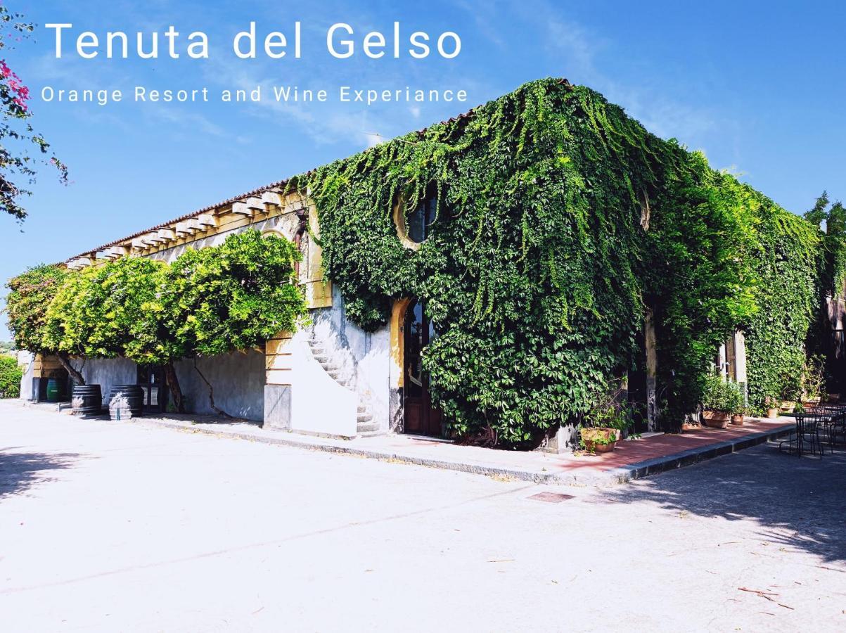 Tenuta Del Gelso CTA Exterior foto